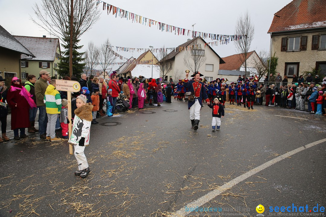 Fasnachtsumzug und Narrentage: Welschingen, 24.01.2016