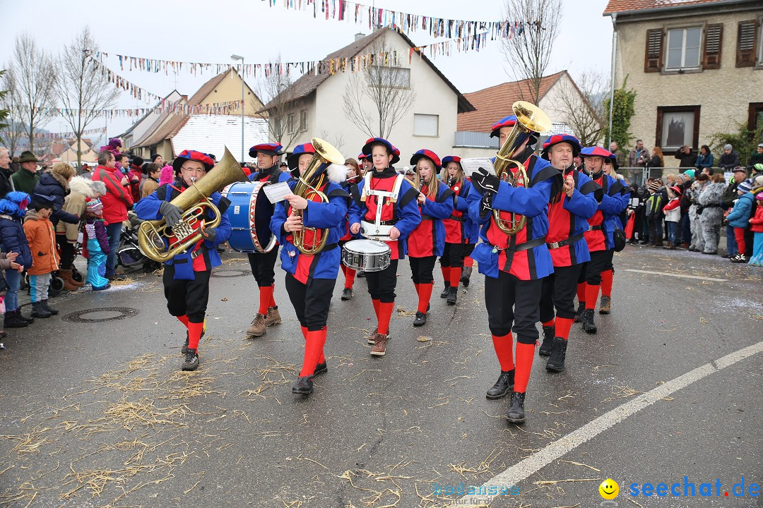 Fasnachtsumzug und Narrentage: Welschingen, 24.01.2016