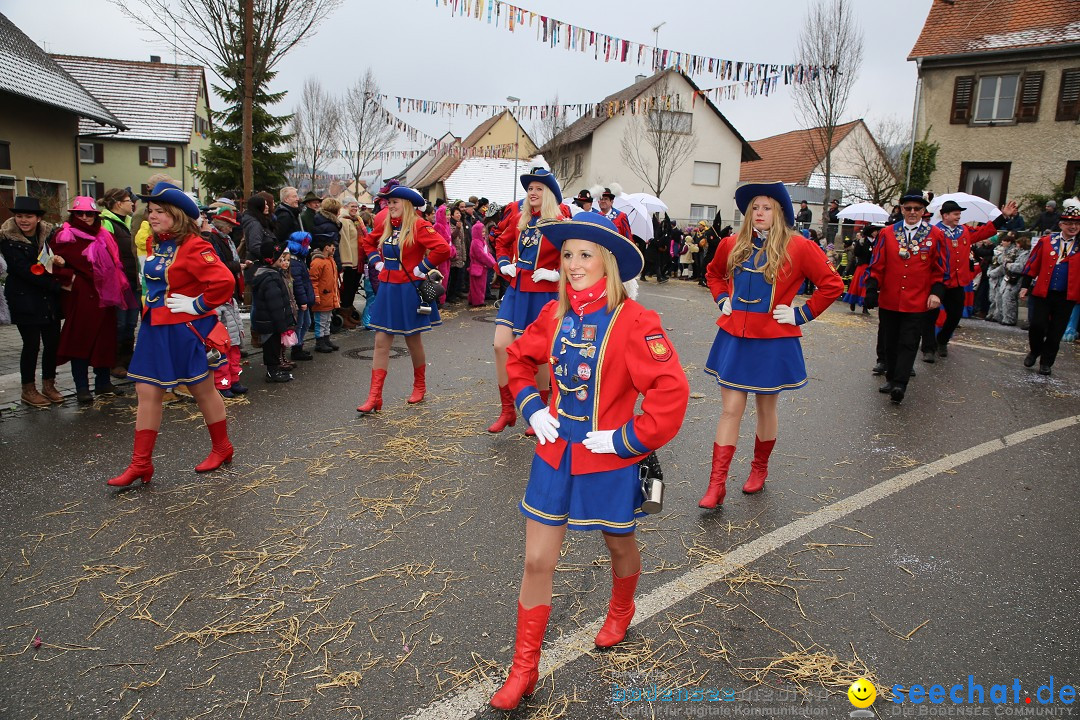 Fasnachtsumzug und Narrentage: Welschingen, 24.01.2016