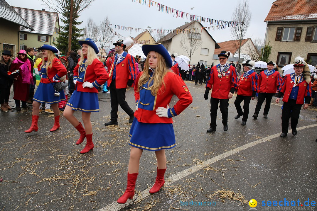 Fasnachtsumzug und Narrentage: Welschingen, 24.01.2016