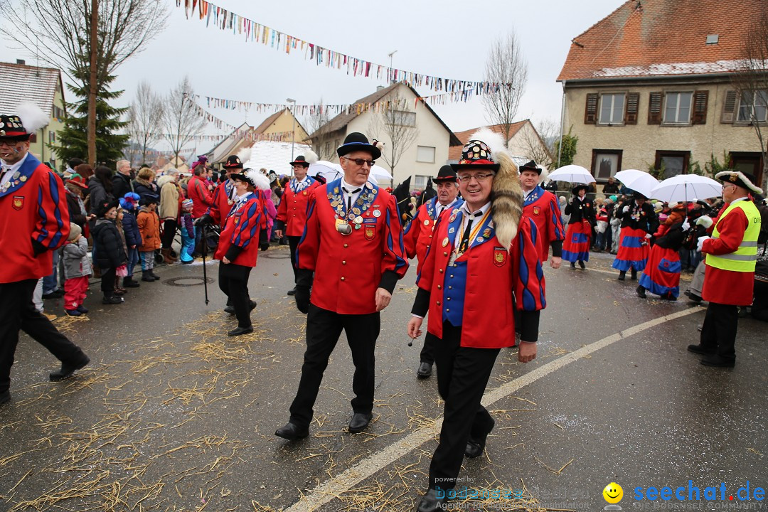 Fasnachtsumzug und Narrentage: Welschingen, 24.01.2016