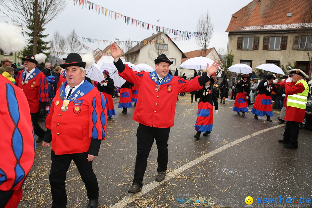 Fasnachtsumzug und Narrentage: Welschingen, 24.01.2016