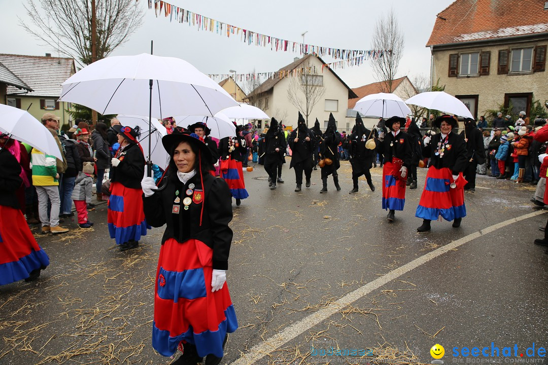 Fasnachtsumzug und Narrentage: Welschingen, 24.01.2016