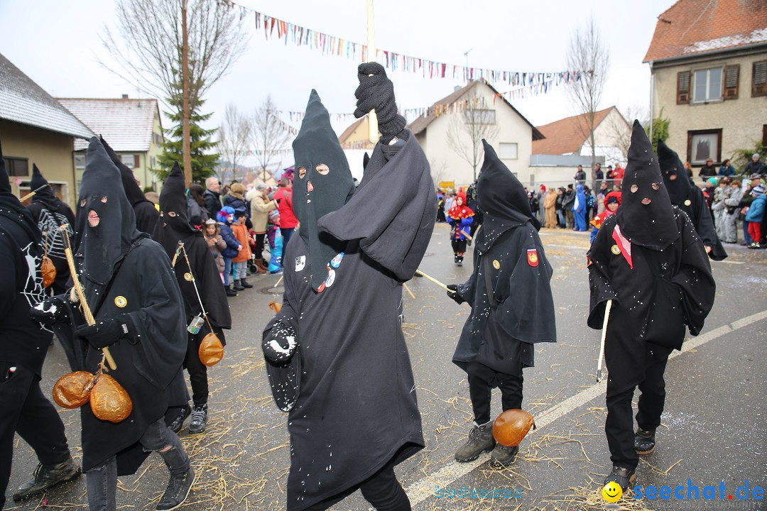 Fasnachtsumzug und Narrentage: Welschingen, 24.01.2016