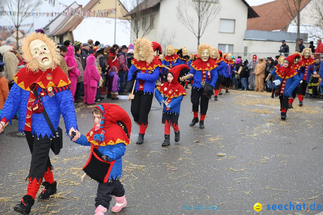 Fasnachtsumzug und Narrentage: Welschingen, 24.01.2016