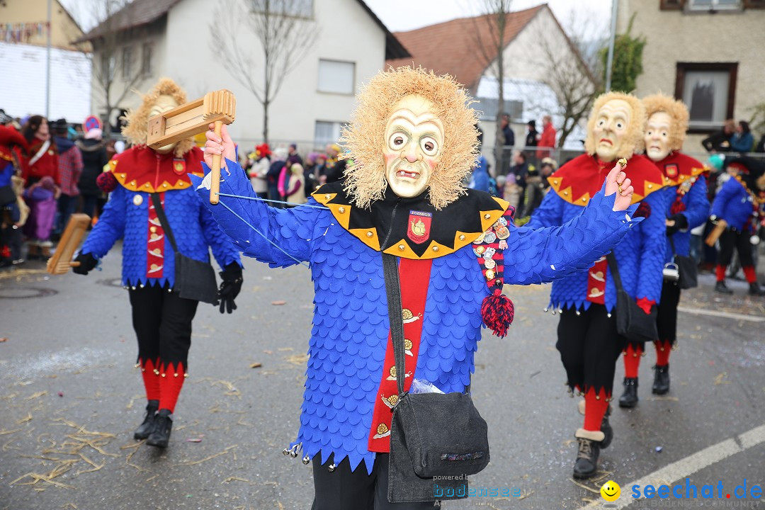 Fasnachtsumzug und Narrentage: Welschingen, 24.01.2016