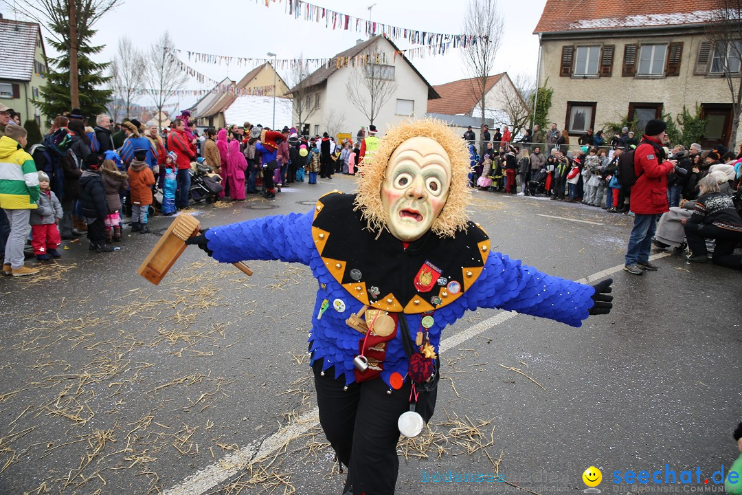 Fasnachtsumzug und Narrentage: Welschingen, 24.01.2016