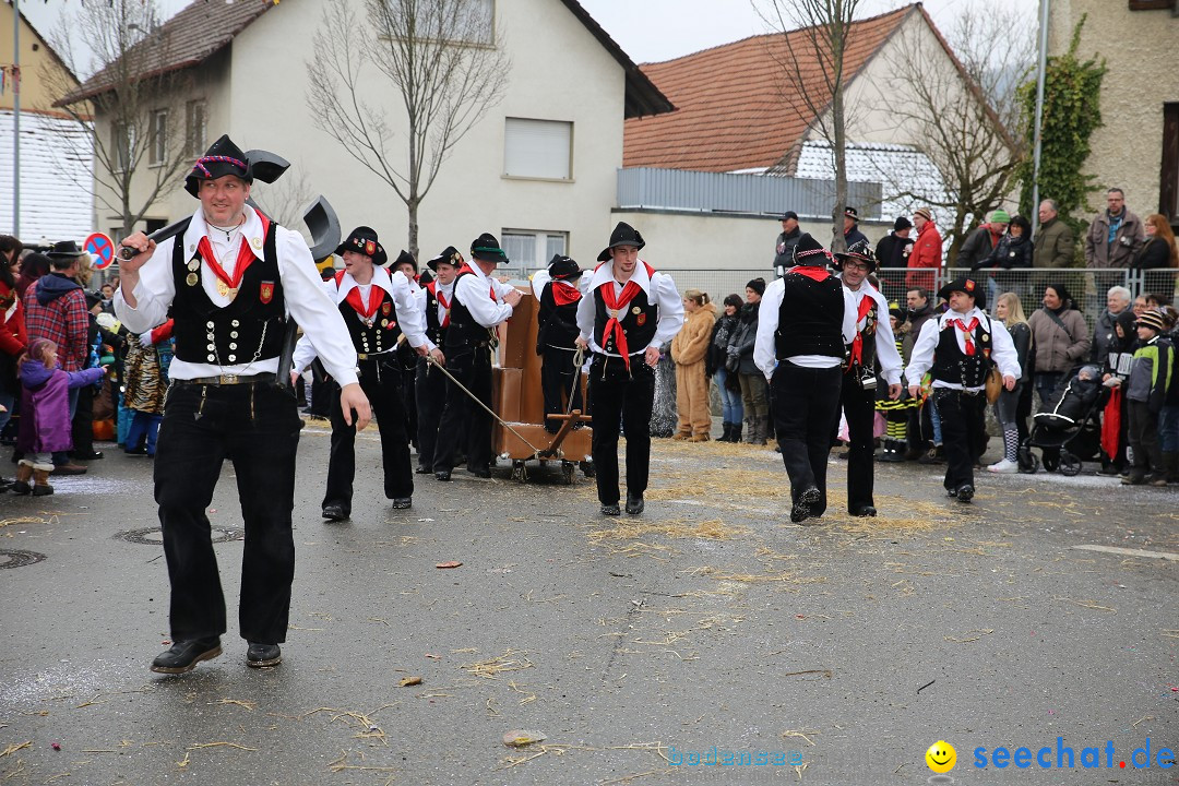 Fasnachtsumzug und Narrentage: Welschingen, 24.01.2016