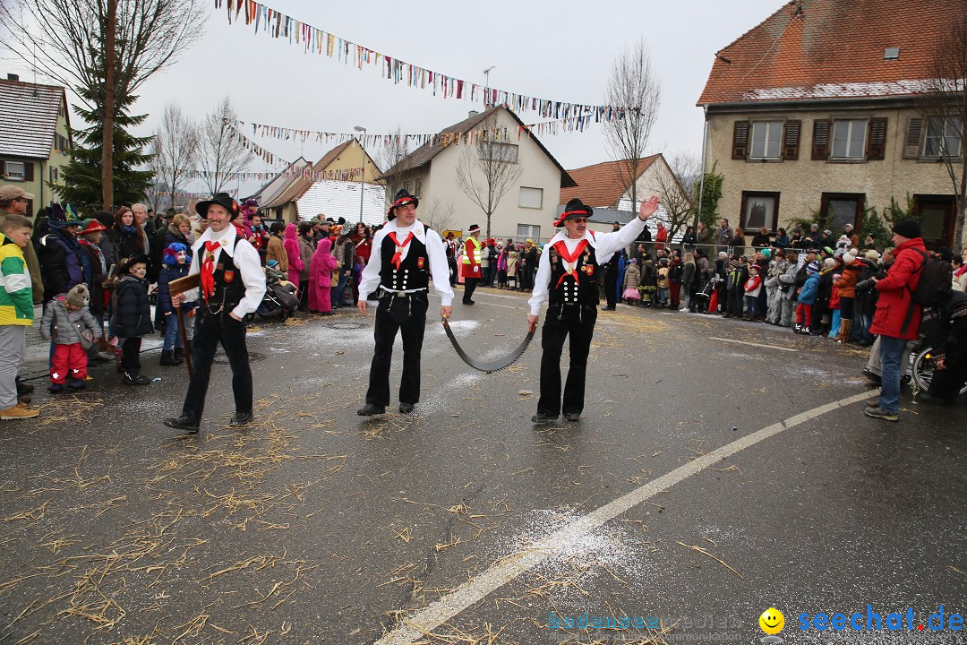 Fasnachtsumzug und Narrentage: Welschingen, 24.01.2016