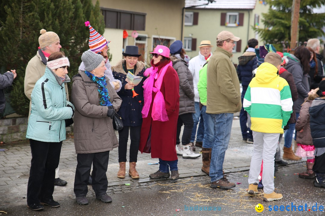 Fasnachtsumzug und Narrentage: Welschingen, 24.01.2016