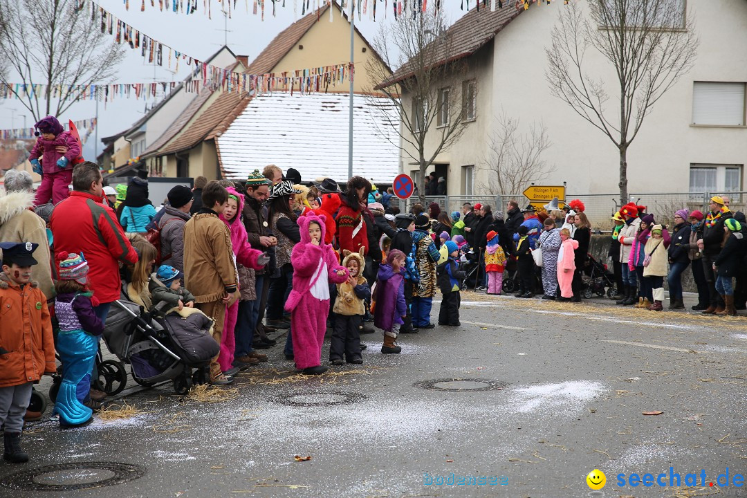 Fasnachtsumzug und Narrentage: Welschingen, 24.01.2016