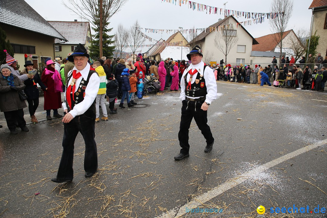 Fasnachtsumzug und Narrentage: Welschingen, 24.01.2016