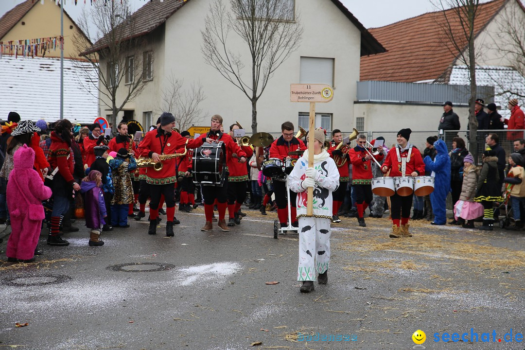 Fasnachtsumzug und Narrentage: Welschingen, 24.01.2016