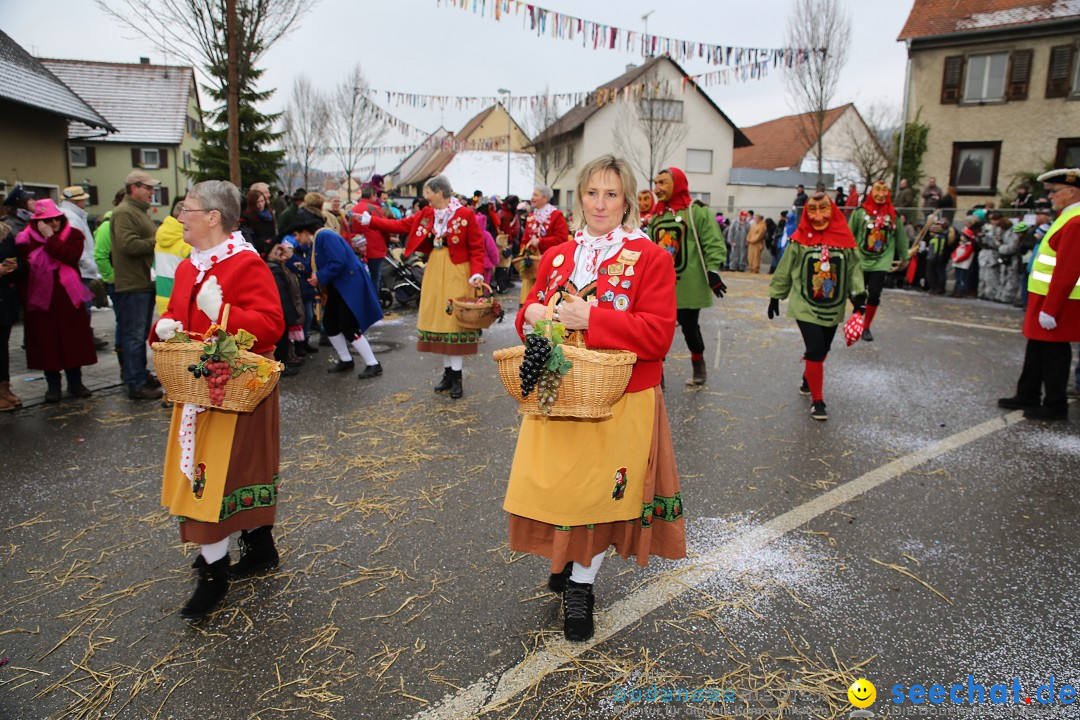 Fasnachtsumzug und Narrentage: Welschingen, 24.01.2016