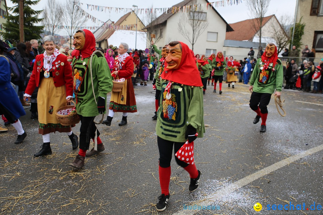 Fasnachtsumzug und Narrentage: Welschingen, 24.01.2016