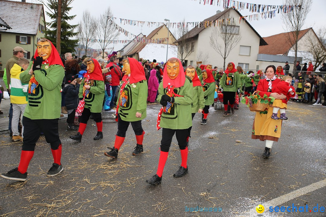 Fasnachtsumzug und Narrentage: Welschingen, 24.01.2016