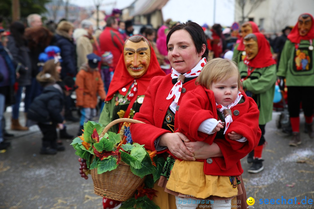 Fasnachtsumzug und Narrentage: Welschingen, 24.01.2016