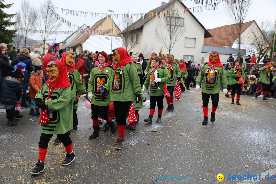 Fasnachtsumzug und Narrentage: Welschingen, 24.01.2016