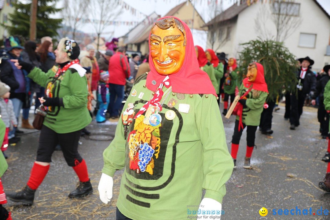 Fasnachtsumzug und Narrentage: Welschingen, 24.01.2016