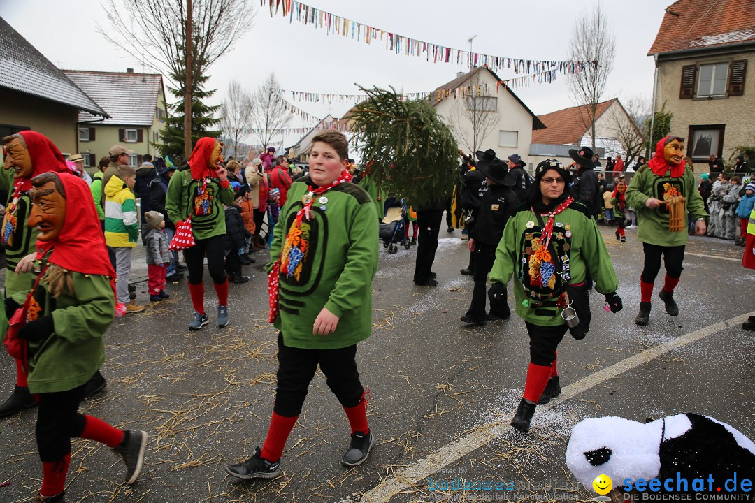 Fasnachtsumzug und Narrentage: Welschingen, 24.01.2016