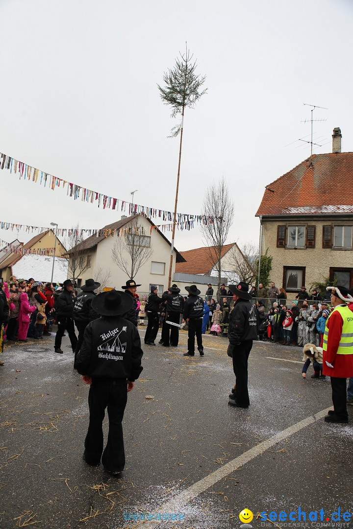 Fasnachtsumzug und Narrentage: Welschingen, 24.01.2016