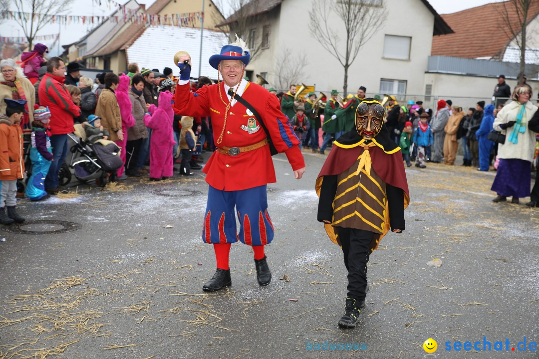 Fasnachtsumzug und Narrentage: Welschingen, 24.01.2016