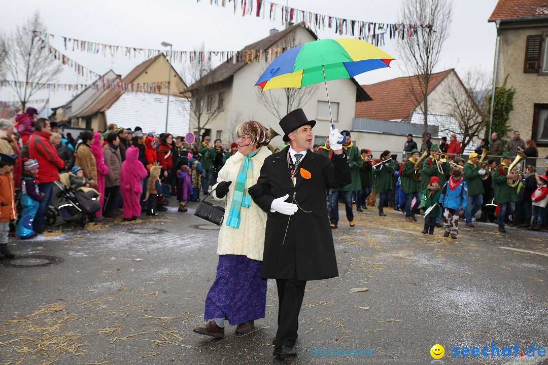 Fasnachtsumzug und Narrentage: Welschingen, 24.01.2016