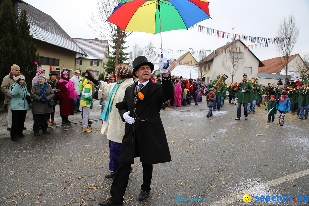 Fasnachtsumzug und Narrentage: Welschingen, 24.01.2016