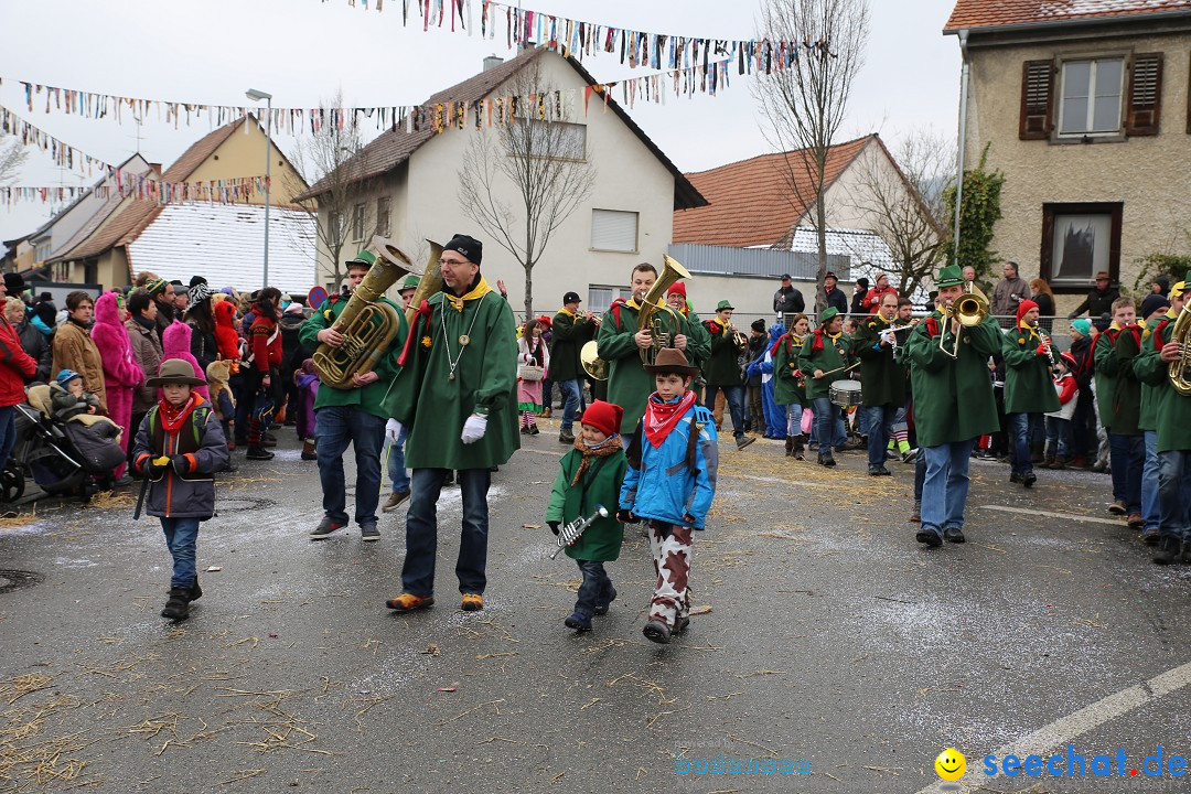 Fasnachtsumzug und Narrentage: Welschingen, 24.01.2016