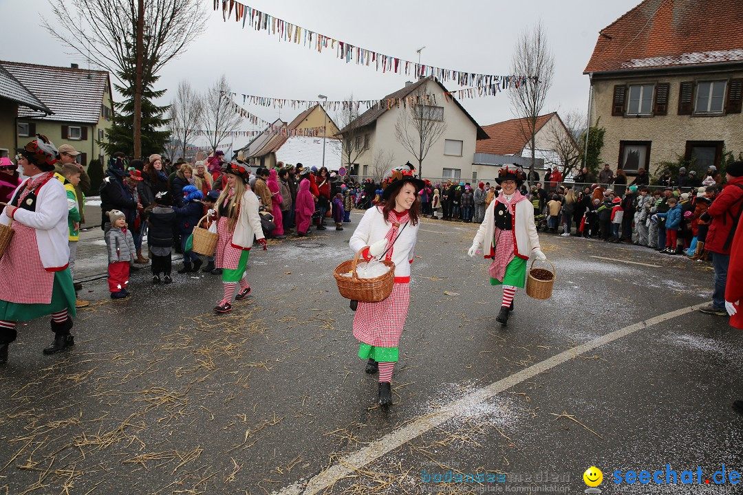 Fasnachtsumzug und Narrentage: Welschingen, 24.01.2016