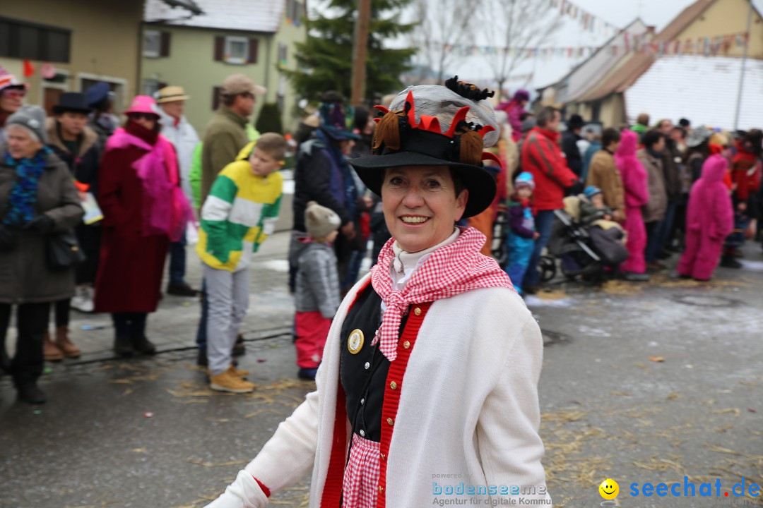 Fasnachtsumzug und Narrentage: Welschingen, 24.01.2016