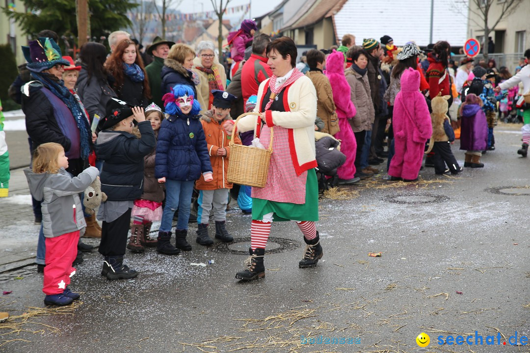 Fasnachtsumzug und Narrentage: Welschingen, 24.01.2016