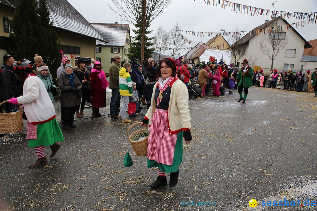 Fasnachtsumzug und Narrentage: Welschingen, 24.01.2016