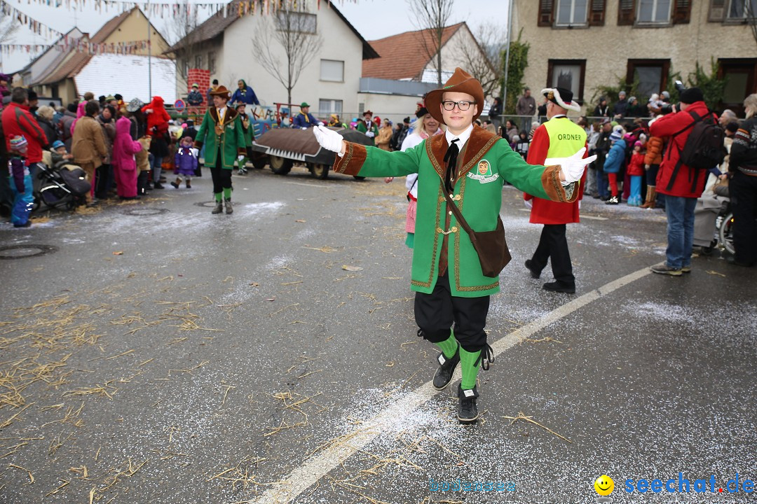 Fasnachtsumzug und Narrentage: Welschingen, 24.01.2016