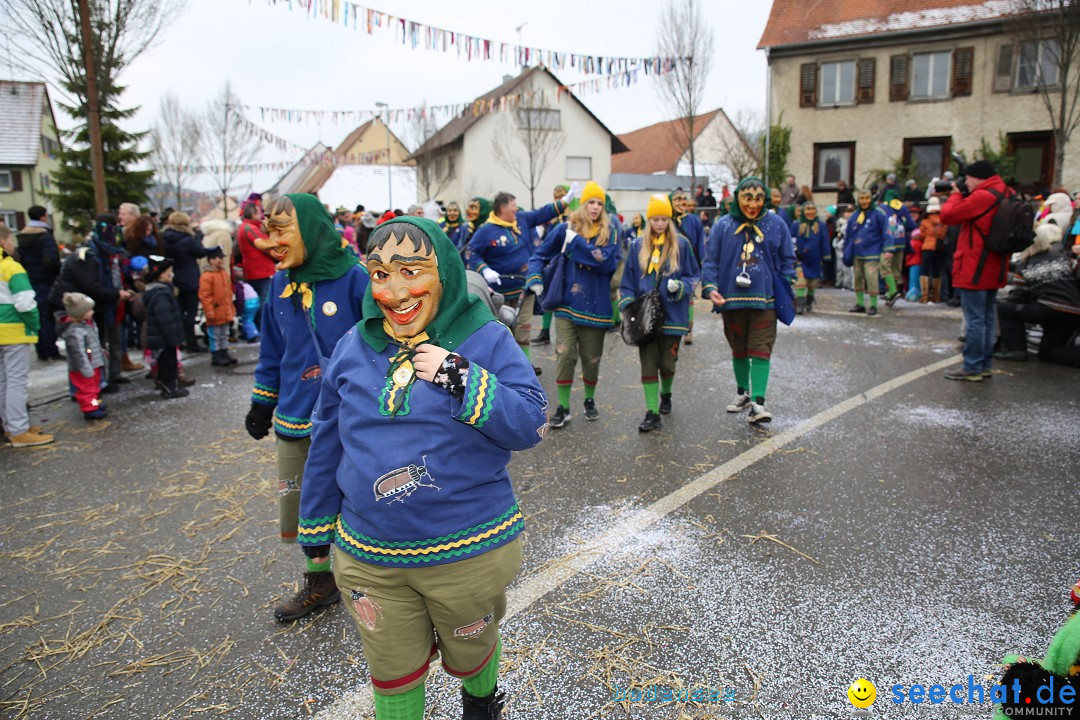 Fasnachtsumzug und Narrentage: Welschingen, 24.01.2016