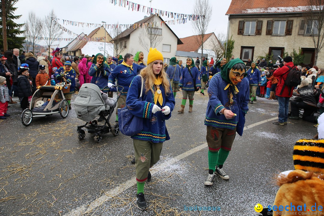 Fasnachtsumzug und Narrentage: Welschingen, 24.01.2016