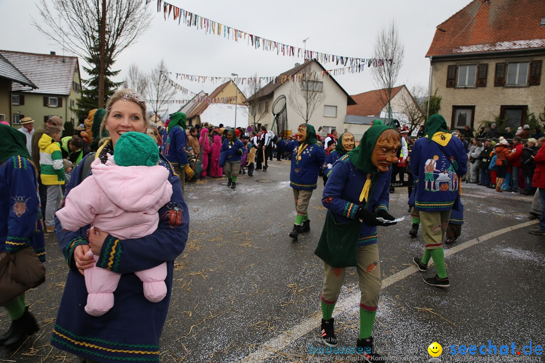 Fasnachtsumzug und Narrentage: Welschingen, 24.01.2016