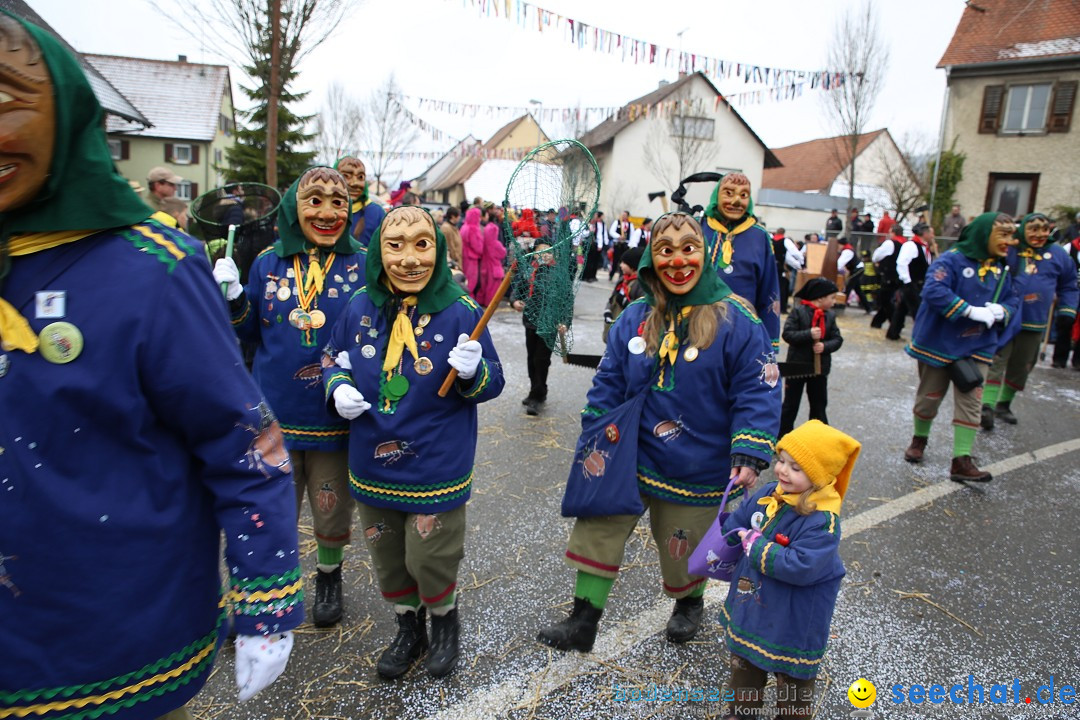 Fasnachtsumzug und Narrentage: Welschingen, 24.01.2016