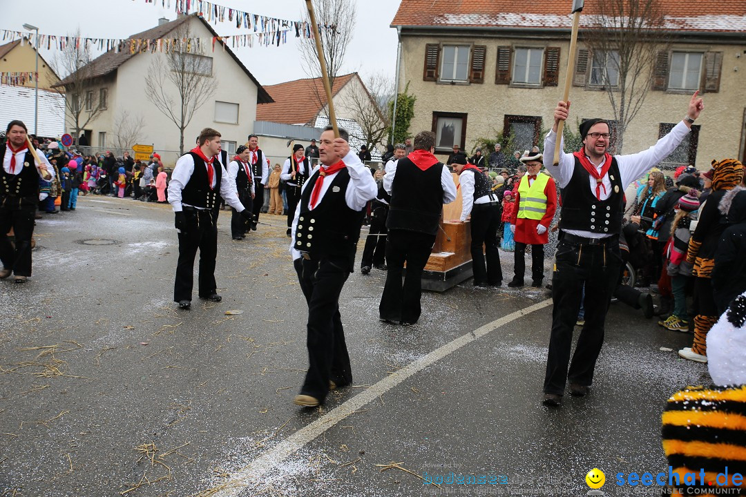 Fasnachtsumzug und Narrentage: Welschingen, 24.01.2016