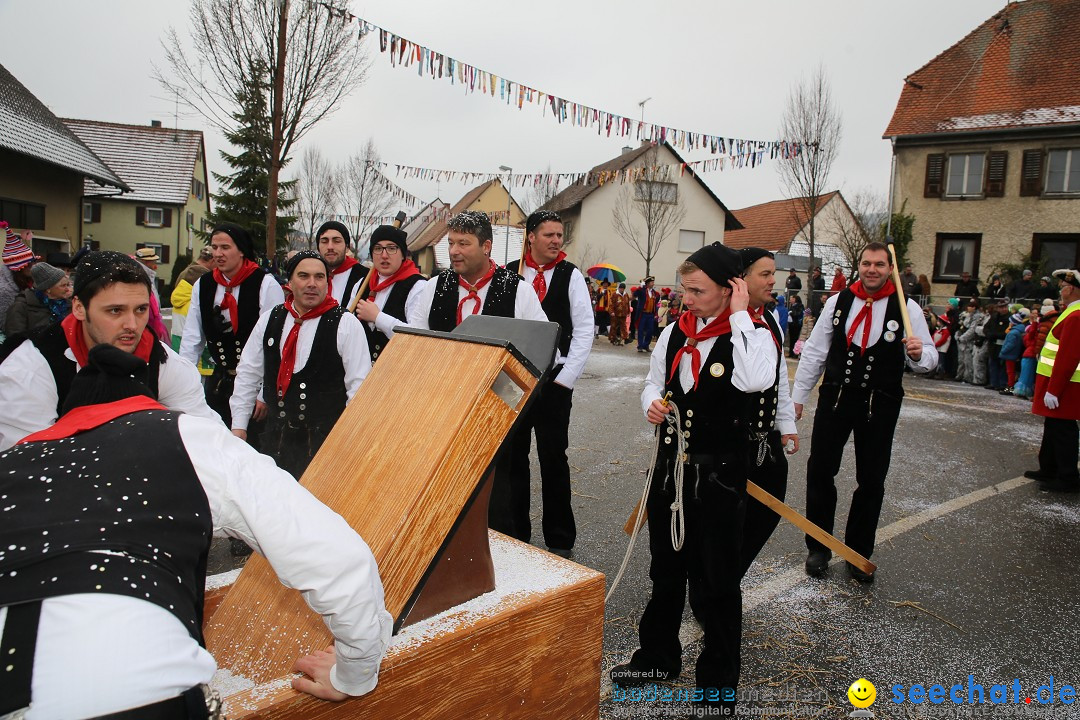 Fasnachtsumzug und Narrentage: Welschingen, 24.01.2016