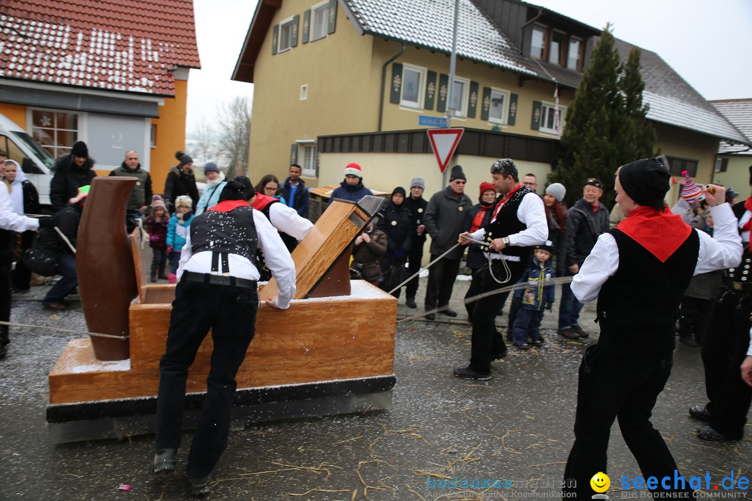 Fasnachtsumzug und Narrentage: Welschingen, 24.01.2016