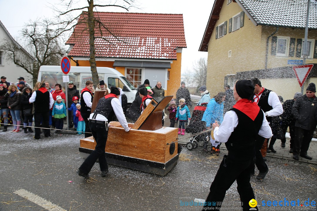 Fasnachtsumzug und Narrentage: Welschingen, 24.01.2016