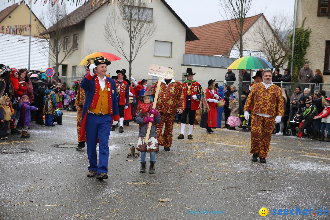 Fasnachtsumzug und Narrentage: Welschingen, 24.01.2016