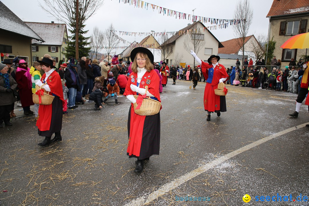 Fasnachtsumzug und Narrentage: Welschingen, 24.01.2016