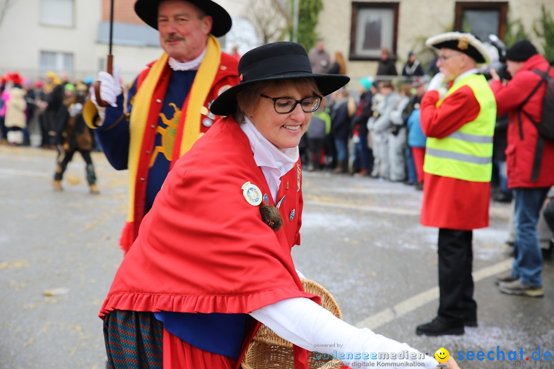 Fasnachtsumzug und Narrentage: Welschingen, 24.01.2016