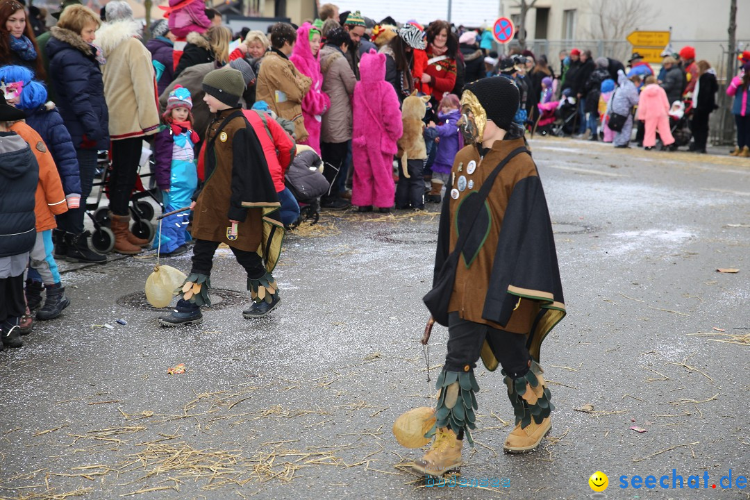 Fasnachtsumzug und Narrentage: Welschingen, 24.01.2016