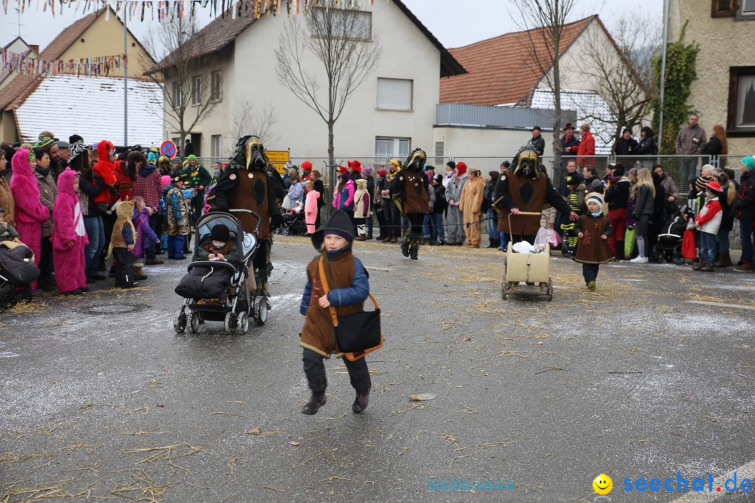 Fasnachtsumzug und Narrentage: Welschingen, 24.01.2016