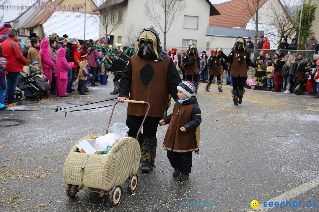 Fasnachtsumzug und Narrentage: Welschingen, 24.01.2016