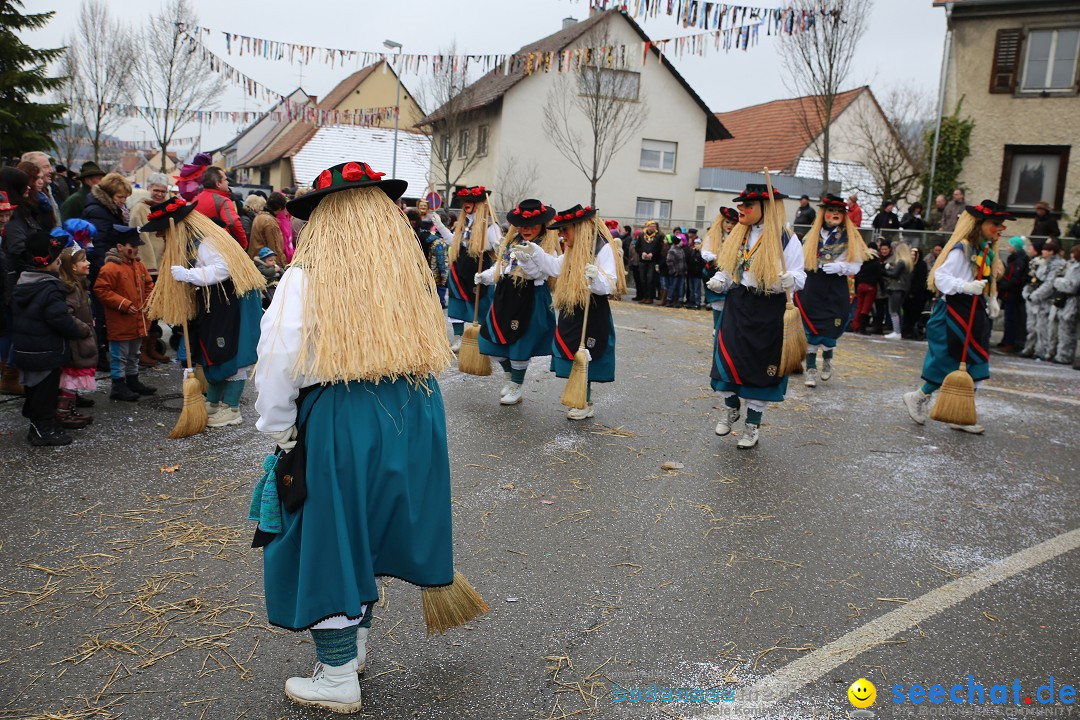 Fasnachtsumzug und Narrentage: Welschingen, 24.01.2016