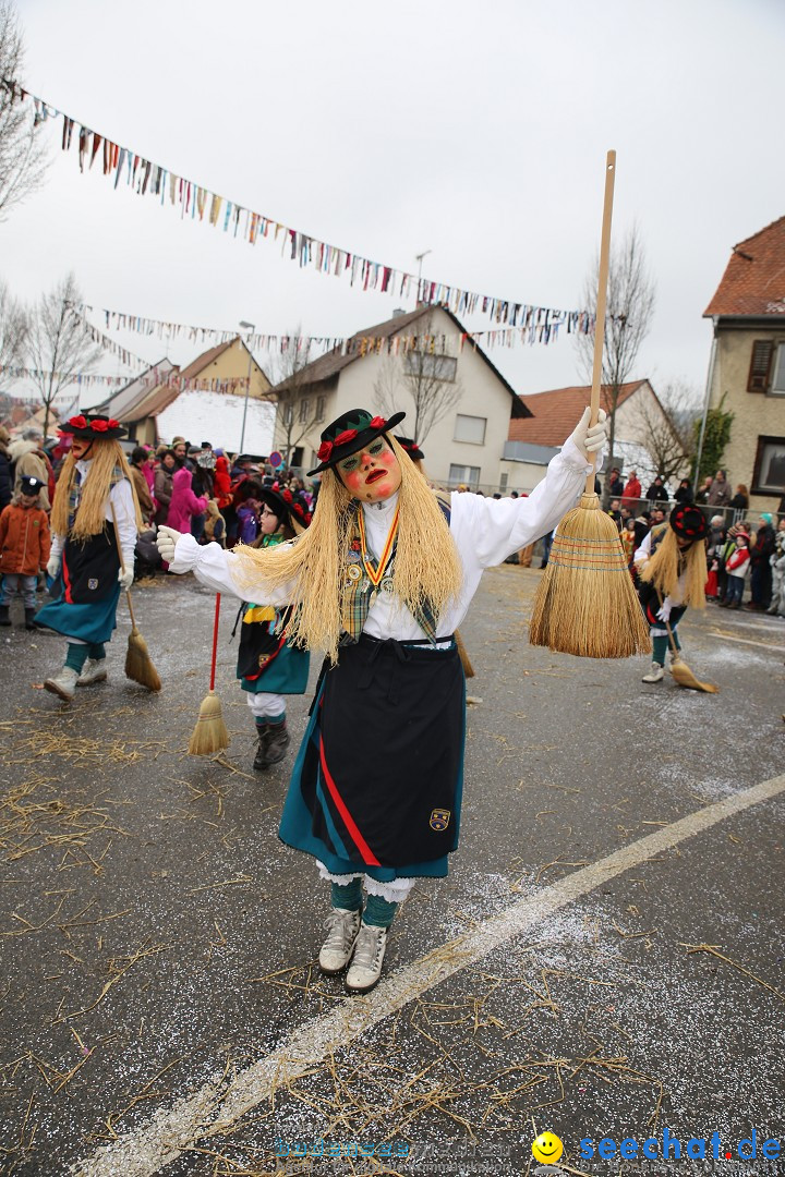 Fasnachtsumzug und Narrentage: Welschingen, 24.01.2016